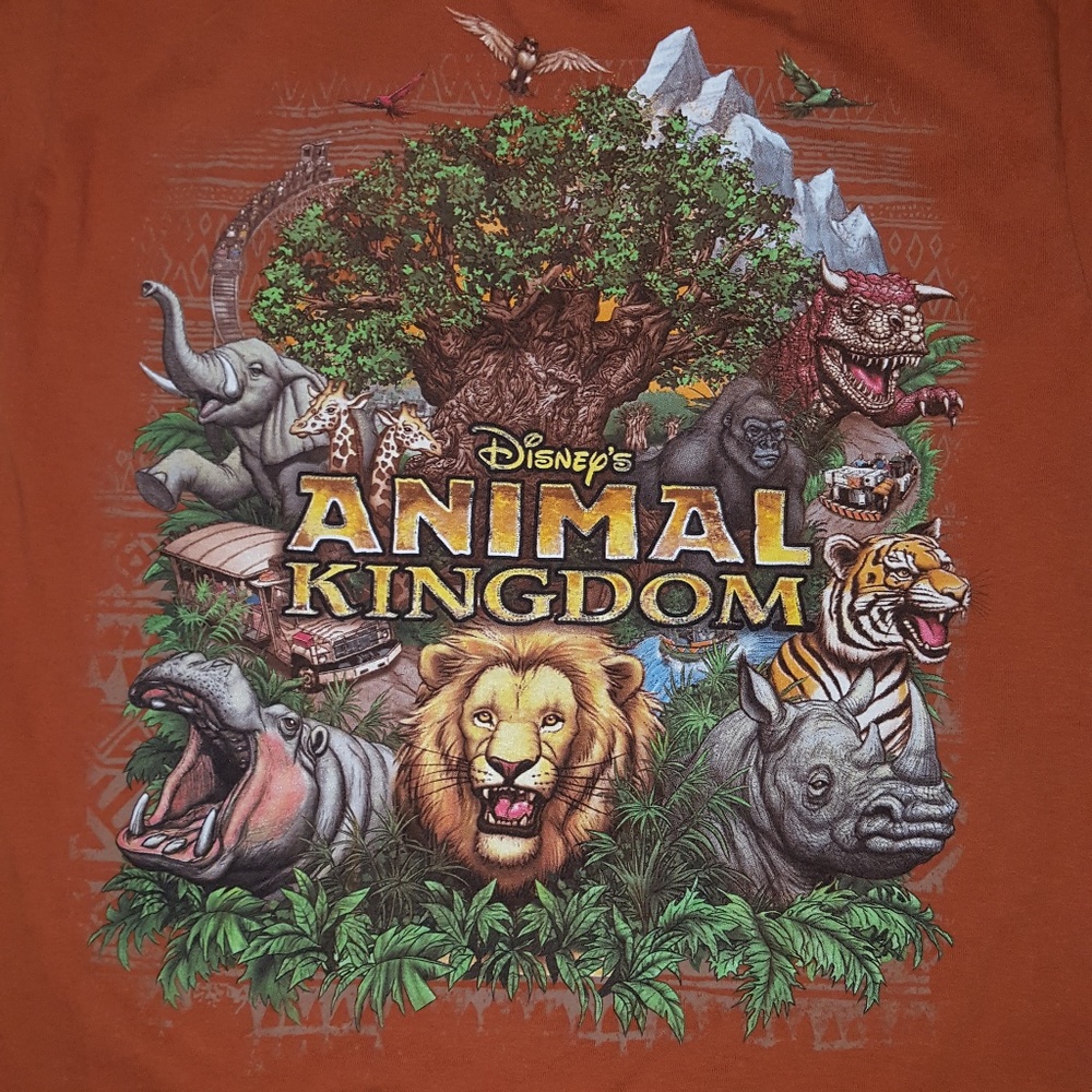 Walt Disney World Animal Kingdom t-shirt, small